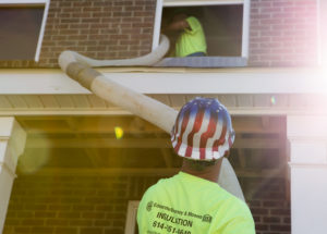 Insulation Removal by Edwards, Mooney, and Moses